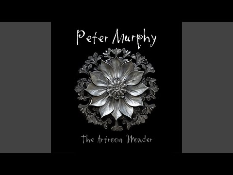The Artroom Wonder