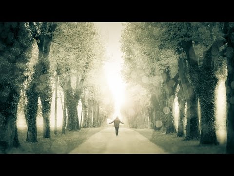 LAST LEAF DOWN - The Theme (official video)