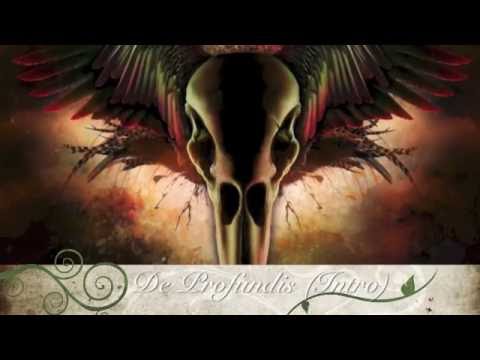 Tenebra Track by Track mit Markus