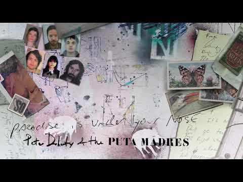 Peter Doherty &amp; The Puta Madres - Paradise Is Under Your Nose (Official Audio)