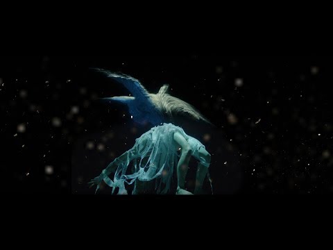 ALCEST - Protection (OFFICIAL MUSIC VIDEO)