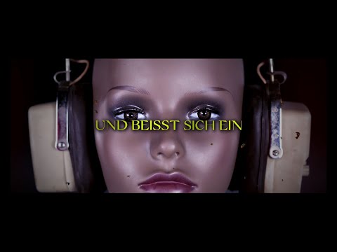 SCHWARZER ENGEL - Hitsingle (OFFICIAL LYRIC VIDEO)