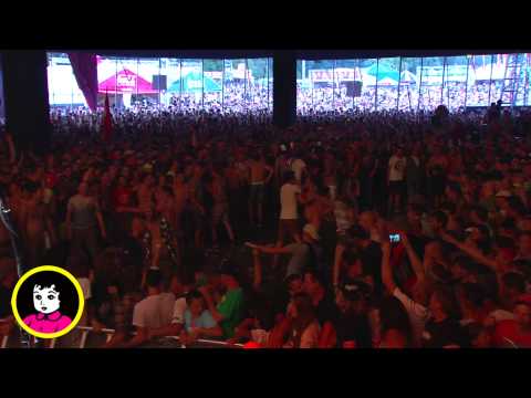 FIDDLER&#039;S GREEN - Live at PINKPOP 2015 [Full Concert]
