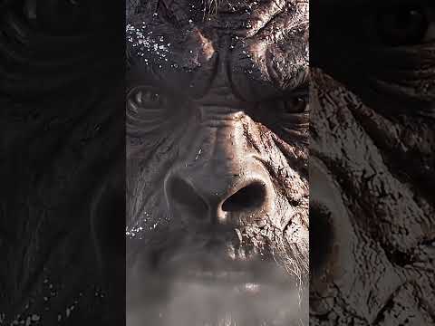 EGOamp veröffentlichen neue Single „Devolution (Rob Dust Rework)“ am 19 ...