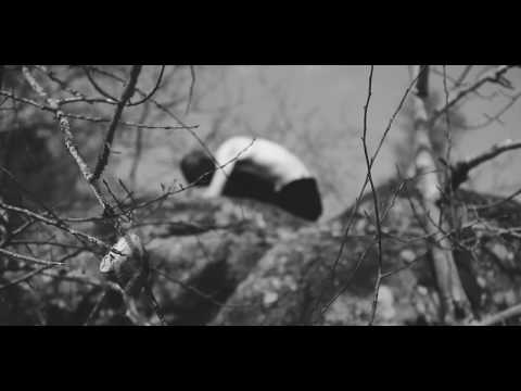 TREHA SEKTORI &quot;AH ESTEREH KOMH DERAH&quot; - Official Video
