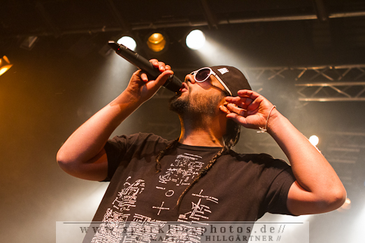 2012-04-05_Samy_Deluxe_und_Tsunami_Band_-_Bild_012.jpg
