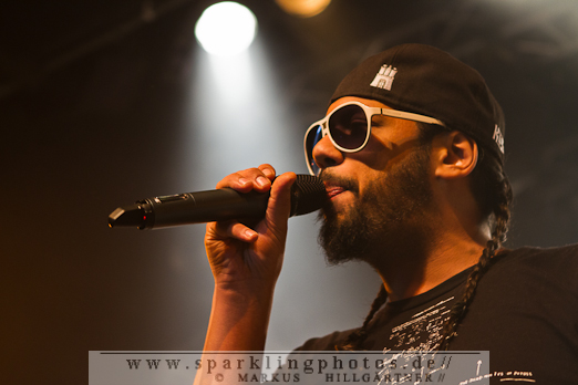 2012-04-05_Samy_Deluxe_und_Tsunami_Band_-_Bild_022.jpg