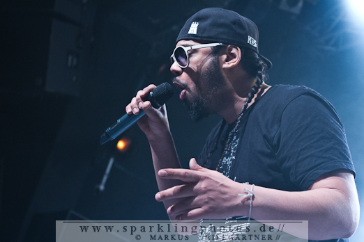 2012-04-05_Samy_Deluxe_und_Tsunami_Band_-_Bild_024.jpg