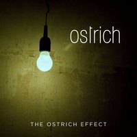 OSTRICH veröffentlichen ihr langerwartetes Debütalbum!