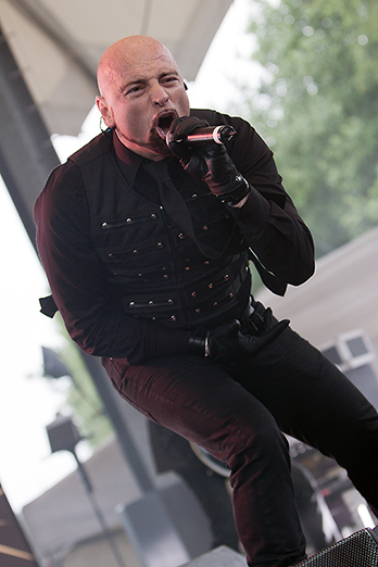 4_Megaherz_0259.jpg