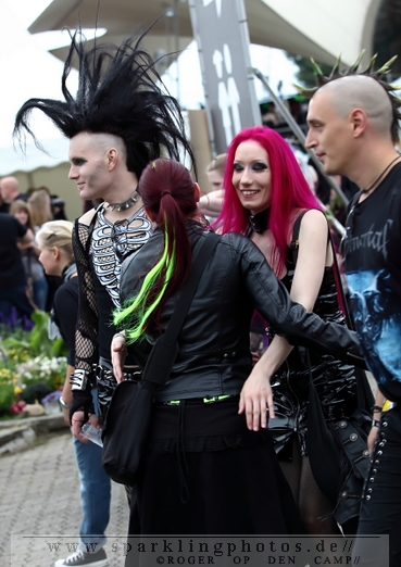 Besucher_und_Impressionen_Amph_2012_-_Bild_058.jpg