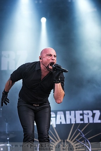 2012-08-11_Megaherz-_Bild_001.jpg