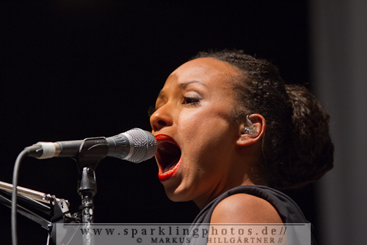 2012-11-04_Laing_Bild_004.jpg