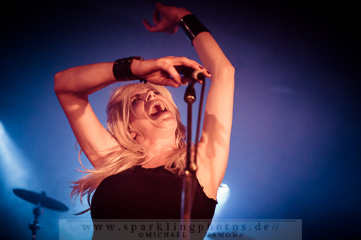 2012-12-15_Vive_La_Fete_-_Bild_006x.jpg