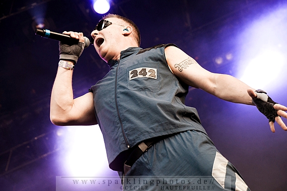 2013-08-11_Front242_Bild_003.jpg
