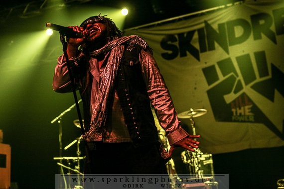 2013-08-25_Skindred_-_Bild_017.jpg