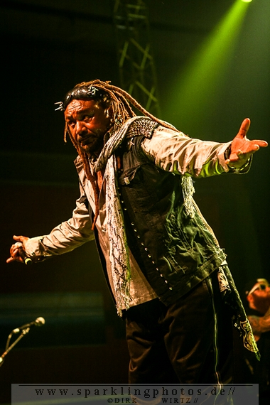 2013-08-25_Skindred_-_Bild_018.jpg