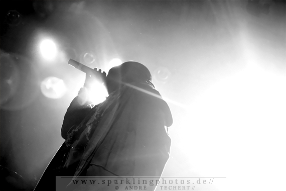 2013-11-20_Skindred_-_003.jpg