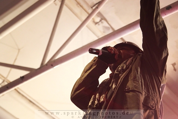 2013-11-20_Skindred_-_004.jpg