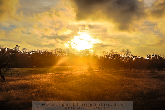 2013-11-23_Impressionen_-_Bild_002x.jpg