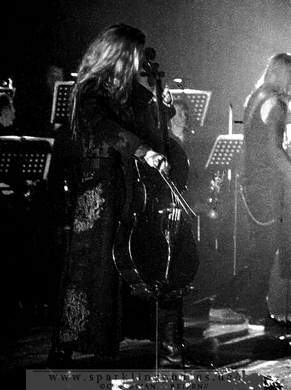 2014-03-17_Apocalyptica_-_Bild_012.jpg