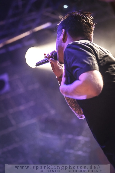 2014-03-20_Samsas_Traum_-_Bild_013.jpg