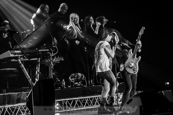 2014-04-02_Rock_Meets_Classic_2014_-_Bild_012x.jpg