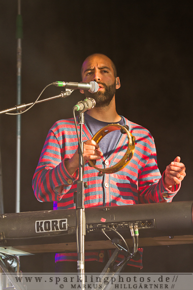 2014-06-11_The_National_-_Bild_016.jpg