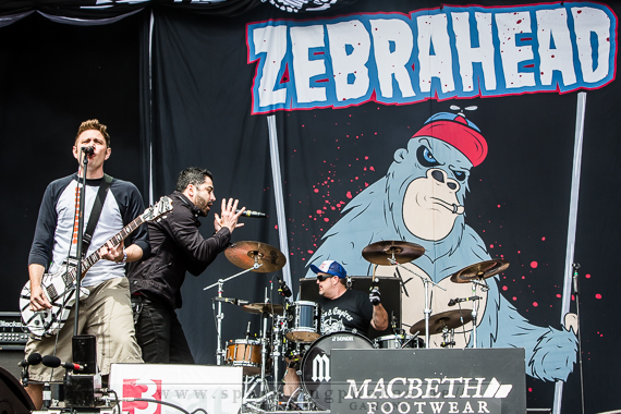 2014-06-21_Zebrahead_-_Bild_005x.jpg