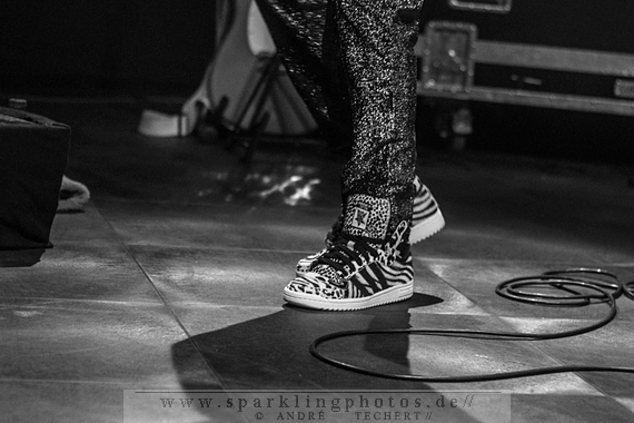 2014-11-11_The_Asteroids_Galaxy_Tour_-_Bild_013.jpg