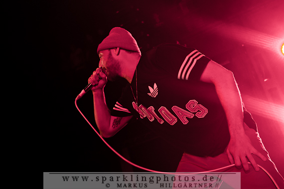 2014-11-19_Beatsteaks_Bild_019.jpg
