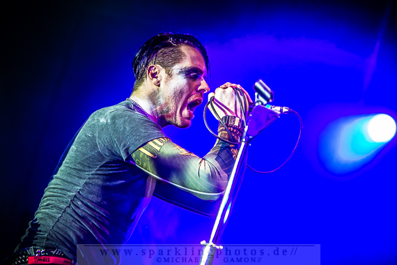 2014-11-28_Protafield_-_Bild_002x.jpg