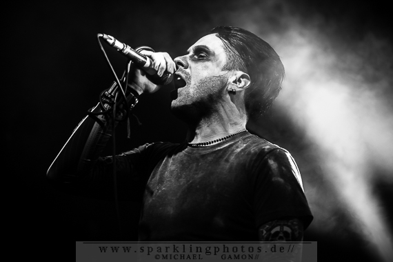 2014-11-28_Protafield_-_Bild_014x.jpg