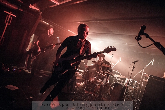 2014-12-18_Marmozets_-_Bild_004.jpg