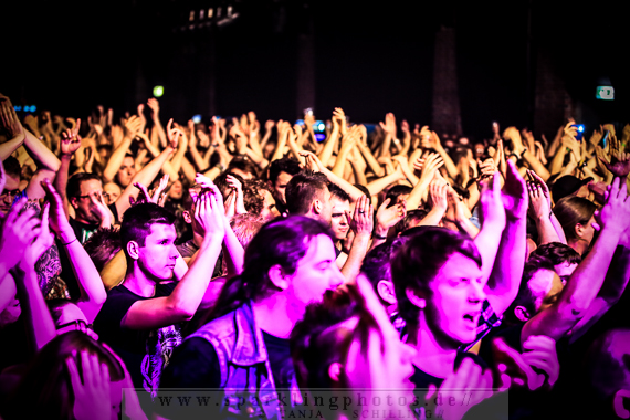 2014-12-23_Massendefekt_-_Bild_006.jpg
