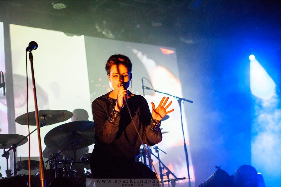 2015-02-15_Laibach_-_Bild_017.jpg