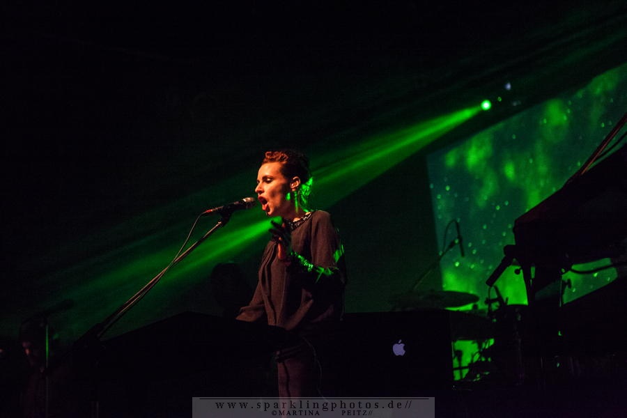 2015-02-15_Laibach_-_Bild_021.jpg