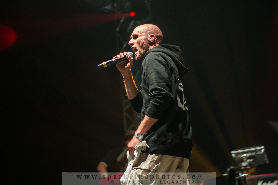 2015-06-19_Irie_Revoltes_-_Bild_004.jpg