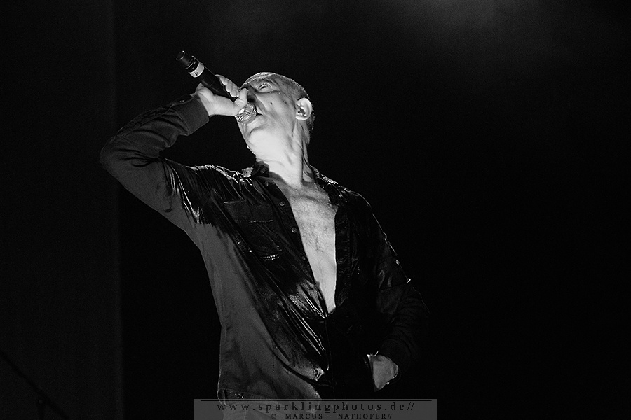 2015-07-25_DAF_-_Bild_002.jpg