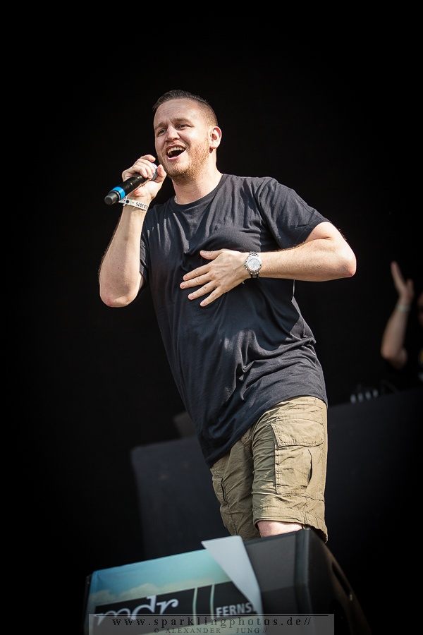 2015-08-15_Hilltop_Hoods_-_Bild_005.jpg