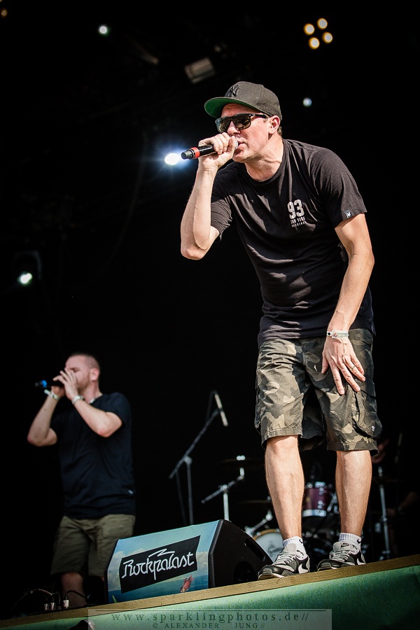 2015-08-15_Hilltop_Hoods_-_Bild_012.jpg
