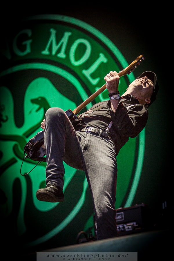 2015-08-16_Flogging_Molly_-_Bild_008.jpg