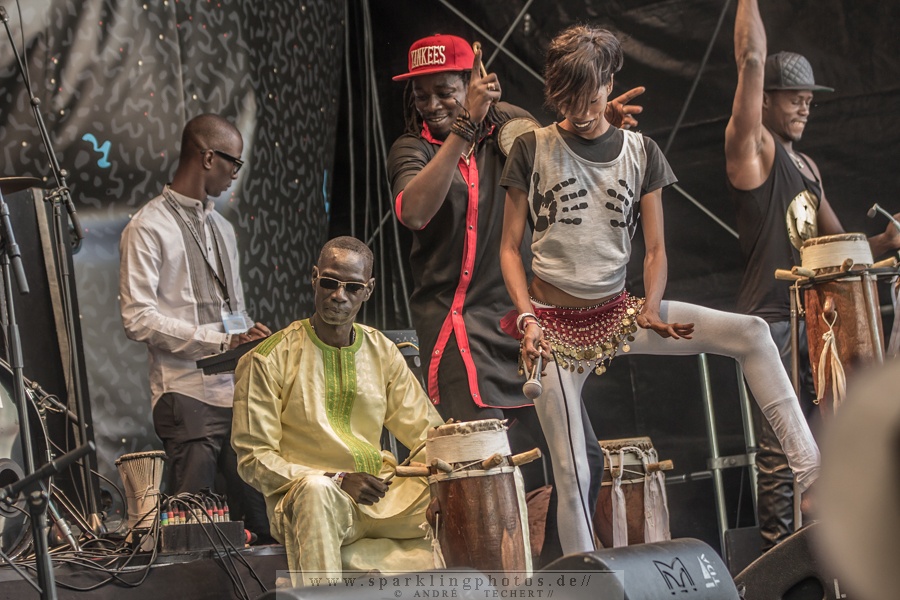 2015-06-27_Mark_Ernestus_Ndagga_Rhythm_Force_-_Bild_002.jpg