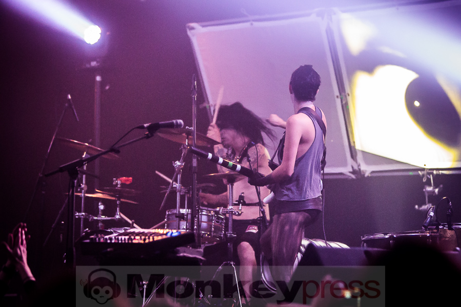 (c) Michael Gamon