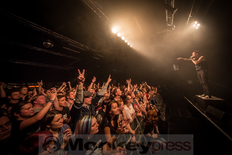 Fotos: Donots Fotos: Donots