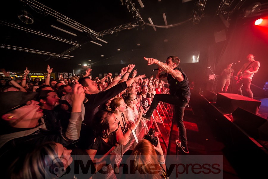 Fotos: Donots