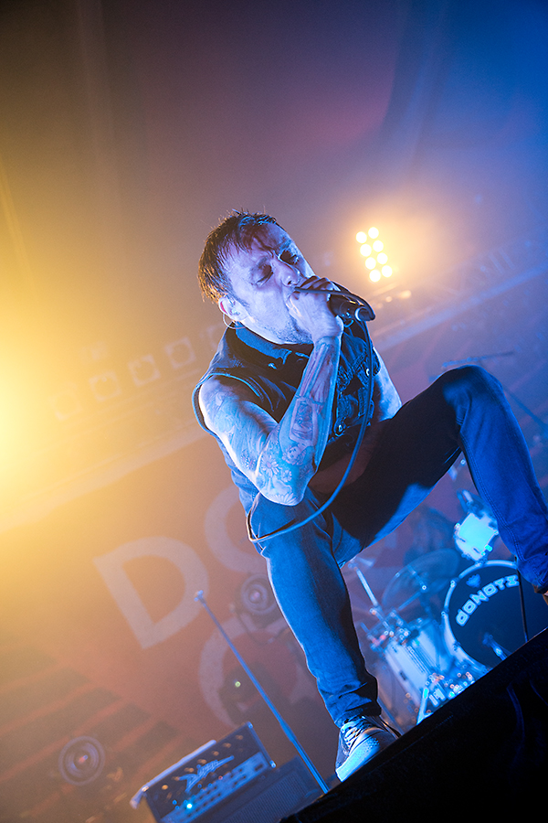 Donots, (c) Marcus Nathofer