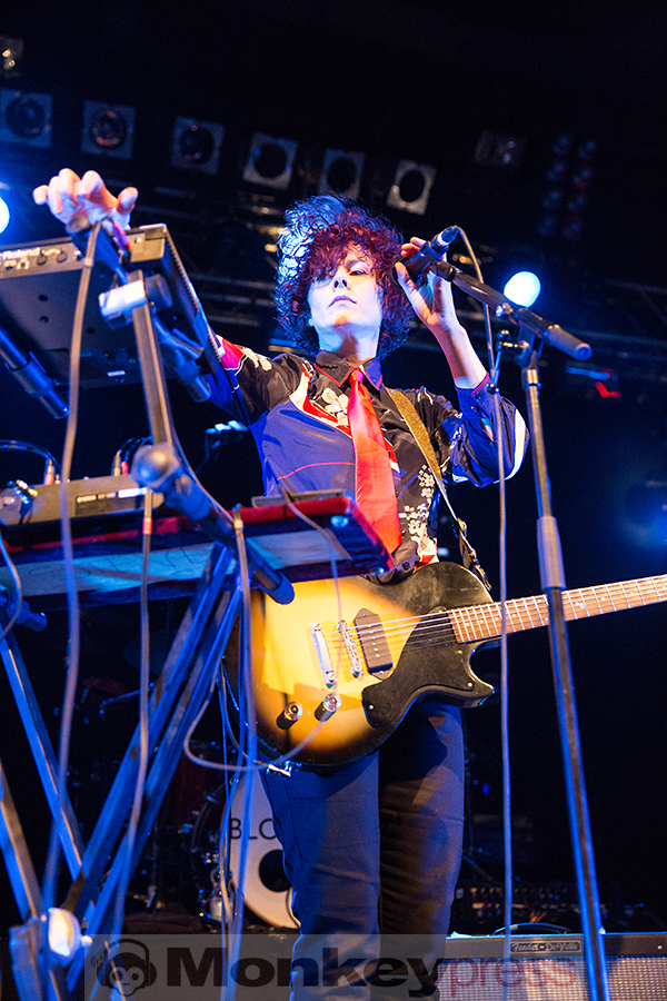 Steve, (c) Marcus Nathofer