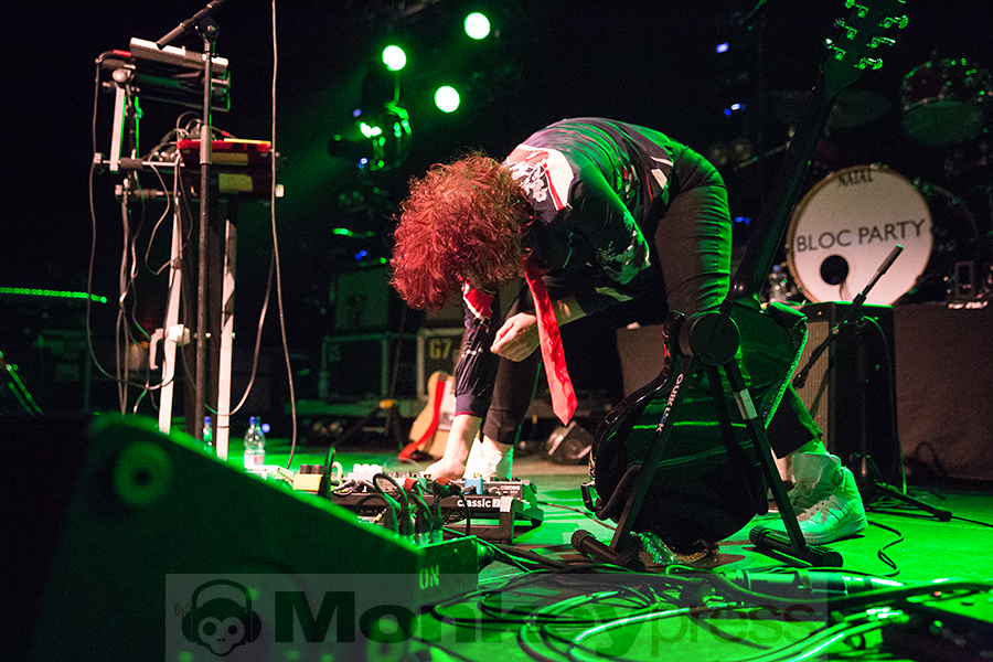 Steve, (c) Marcus Nathofer