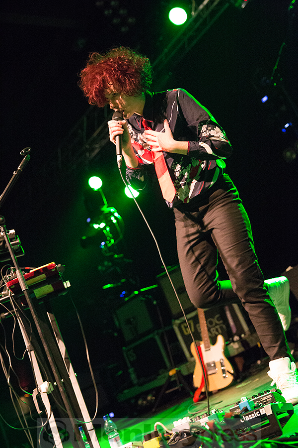 Steve, (c) Marcus Nathofer